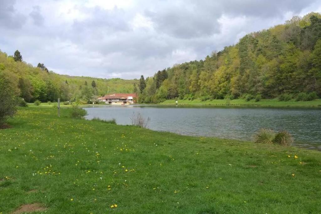 Le Repaire Des Herissons Vallee De Rabais Virton Luaran gambar